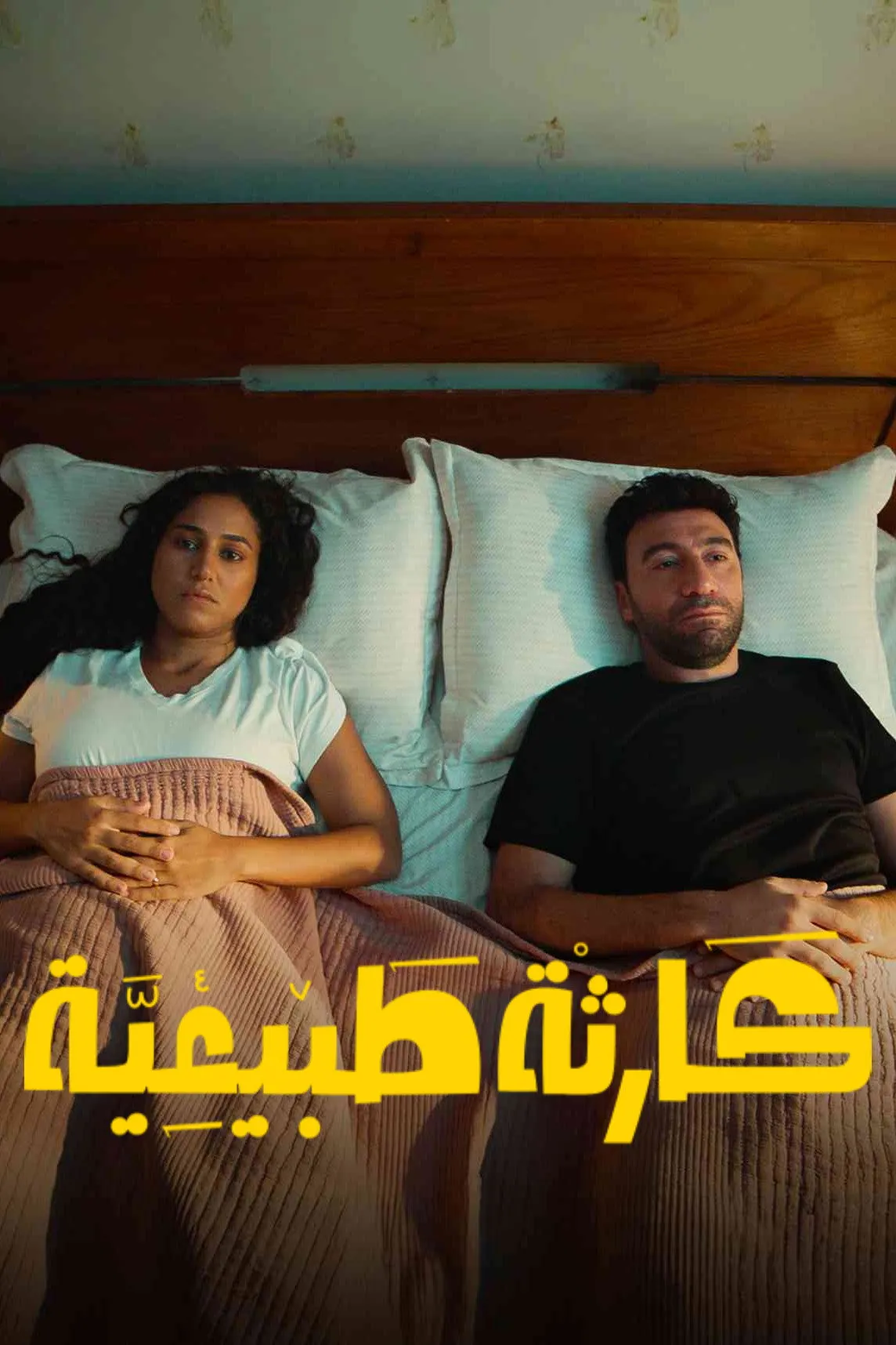 بوستر كارثة طبيعية الموسم 1