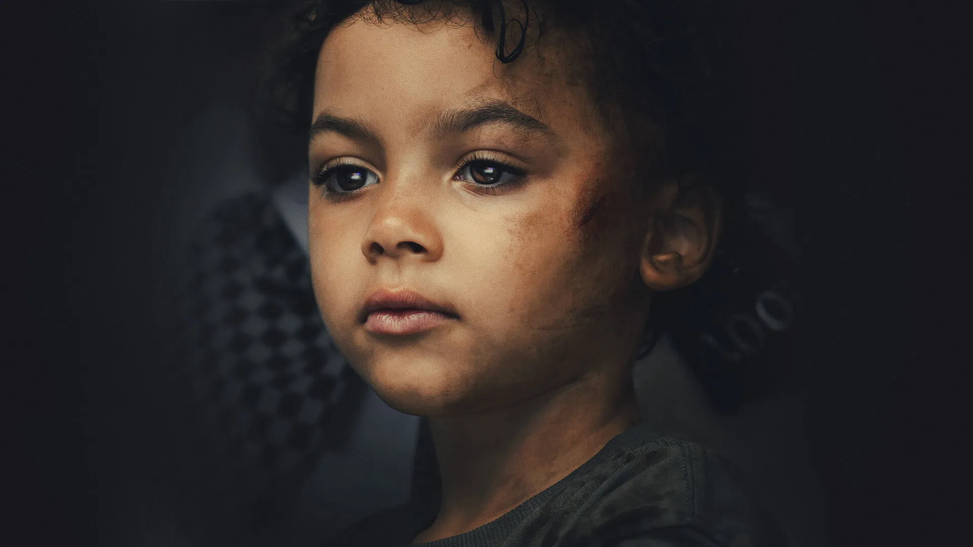 الشاهد cover