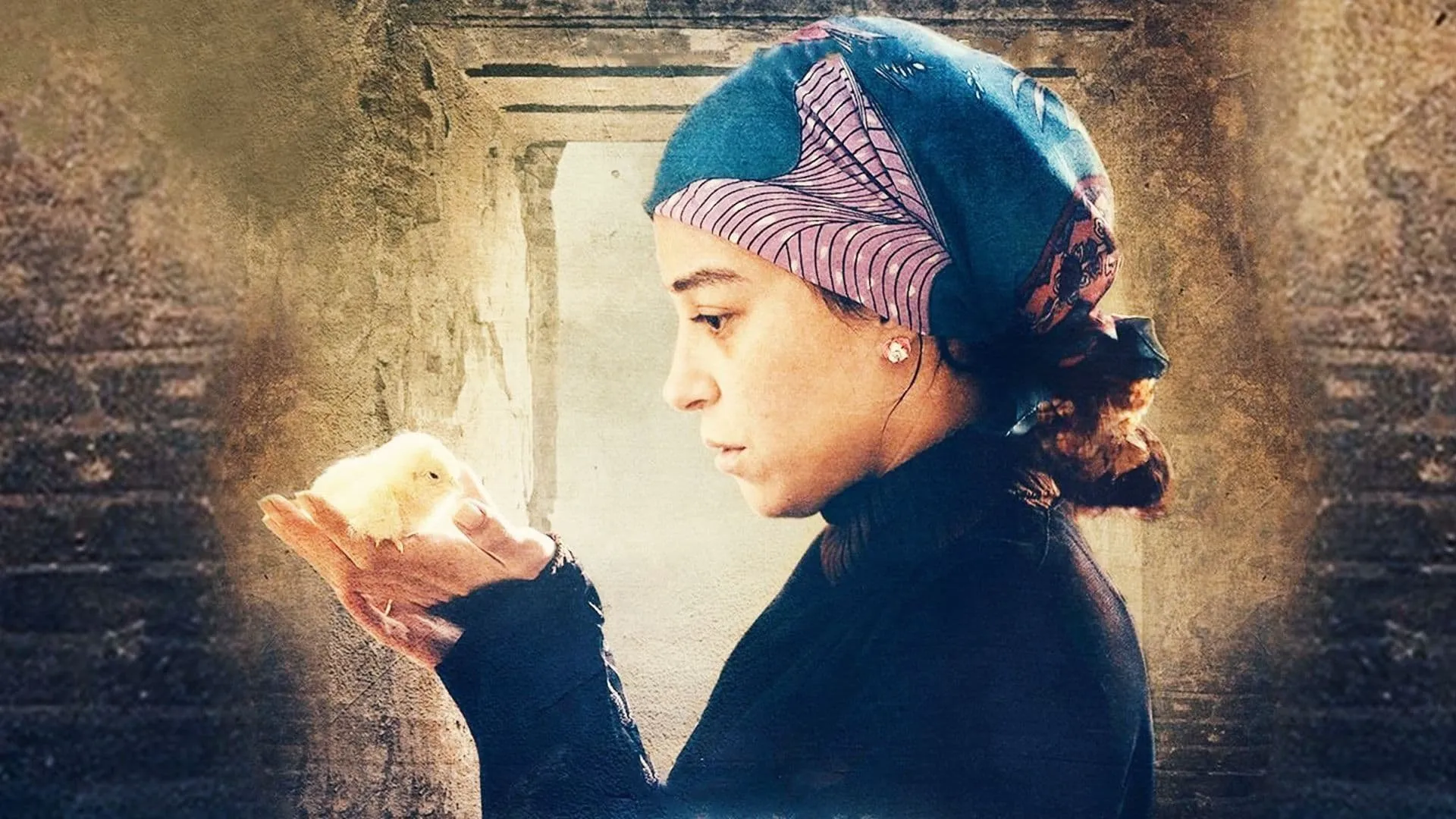 نوارة cover