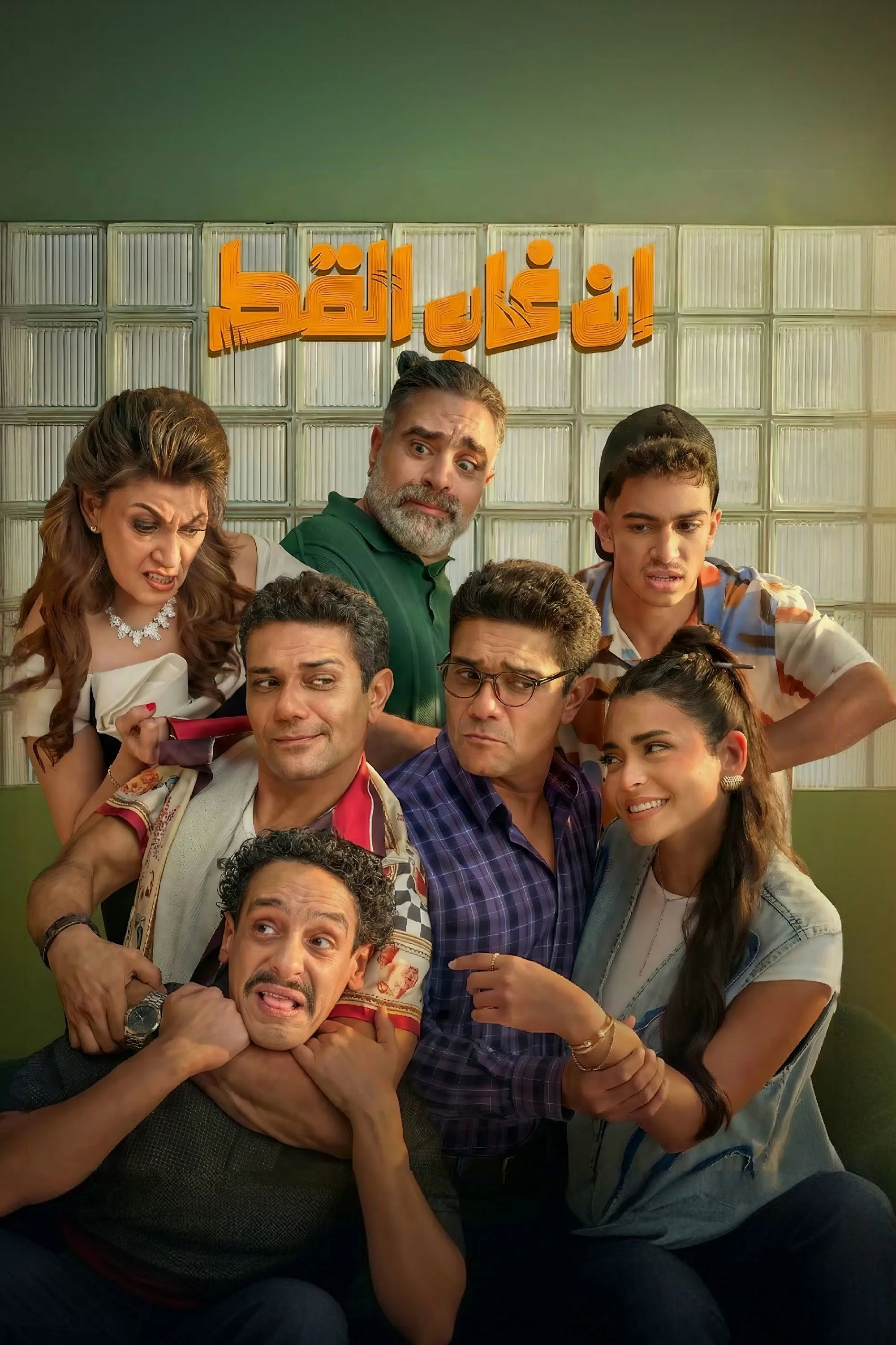 بوستر إن غاب القط